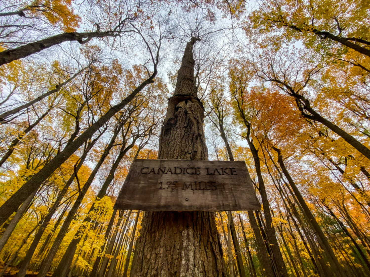 Canadice Lake Sign on Rob's Trail near Hemlock Lake